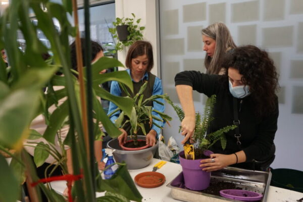 8.-Plant-Hospital-3-768x512 8.-Plant-Hospital-3-768x512