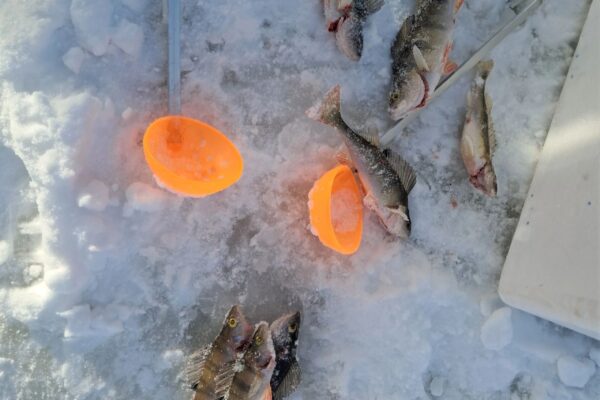 1772452828901 1772452828901