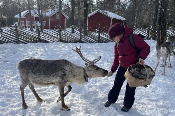 1773063737834 1773063737834