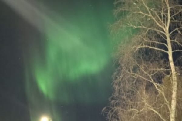 Screenshot 2026-03-12 at 11.23.13 Screenshot 2026-03-12 at 11.23.13