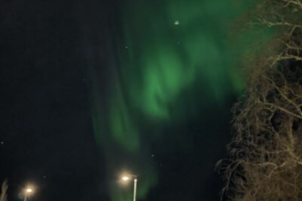 Screenshot 2026-03-12 at 11.23.27 Screenshot 2026-03-12 at 11.23.27