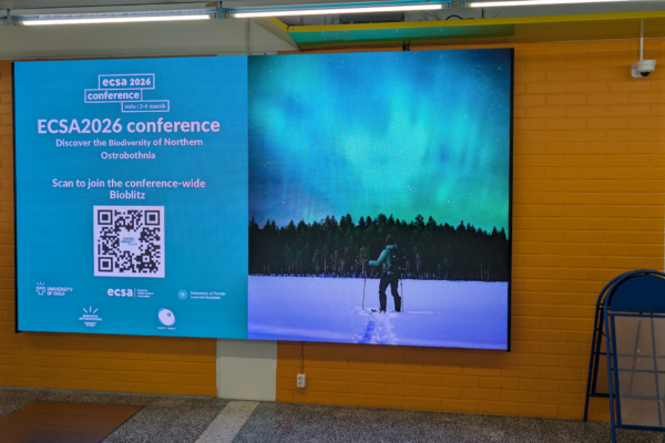 Untitled design (40) Untitled design (40)