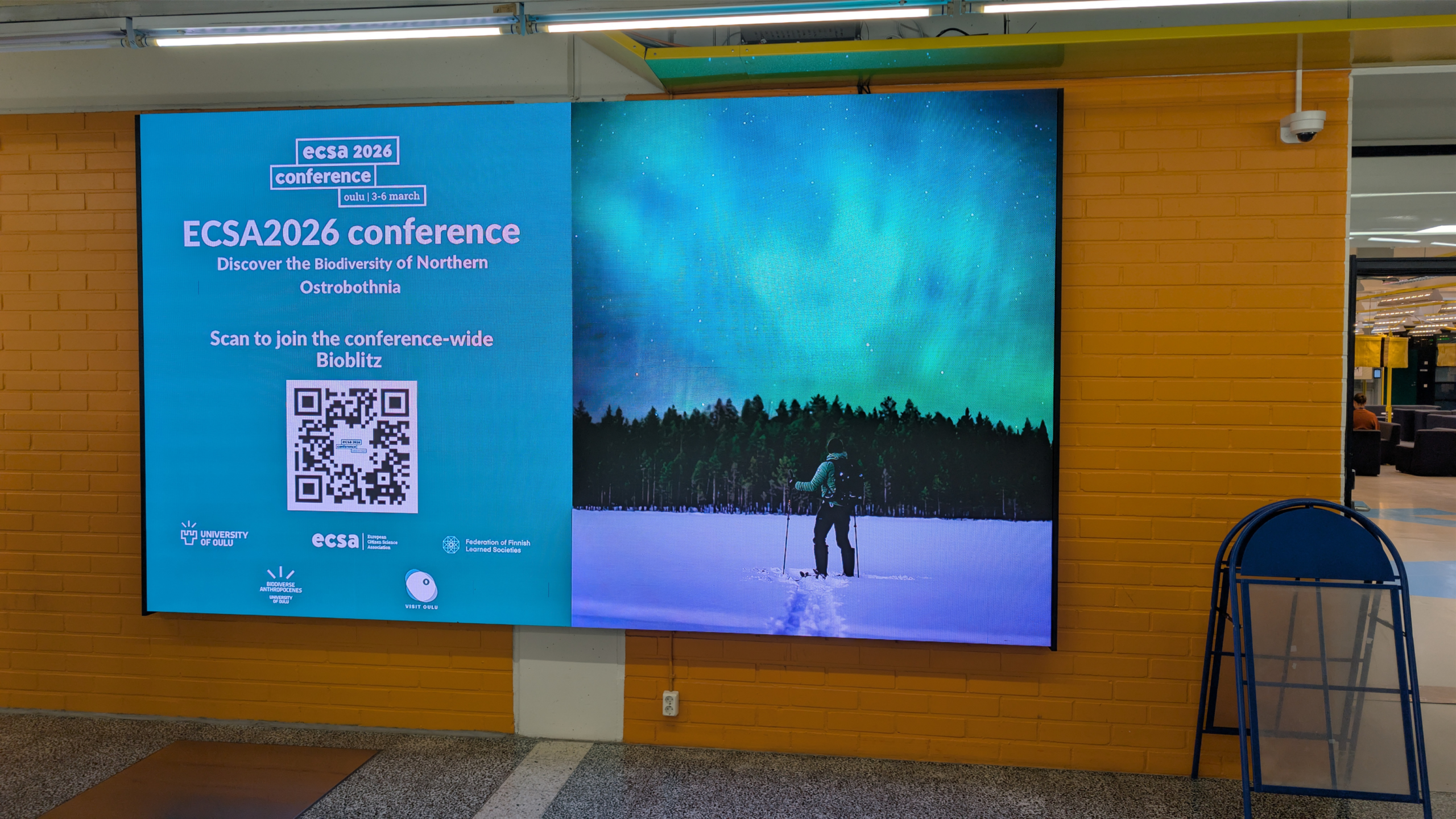 Spotlights and northern lights over citizen science: IMPETUS at ECSA